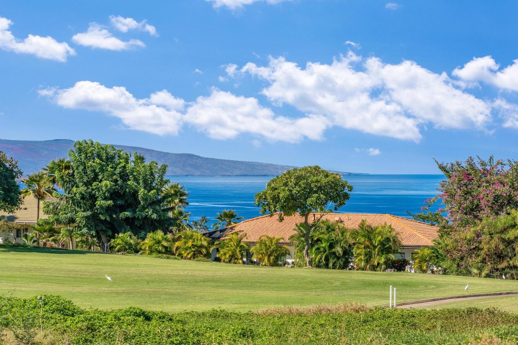 Wailea Ekolu 1604 Vila Kihei Exterior foto